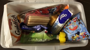 Snack boxes. Road tripping with the kids: what to bring